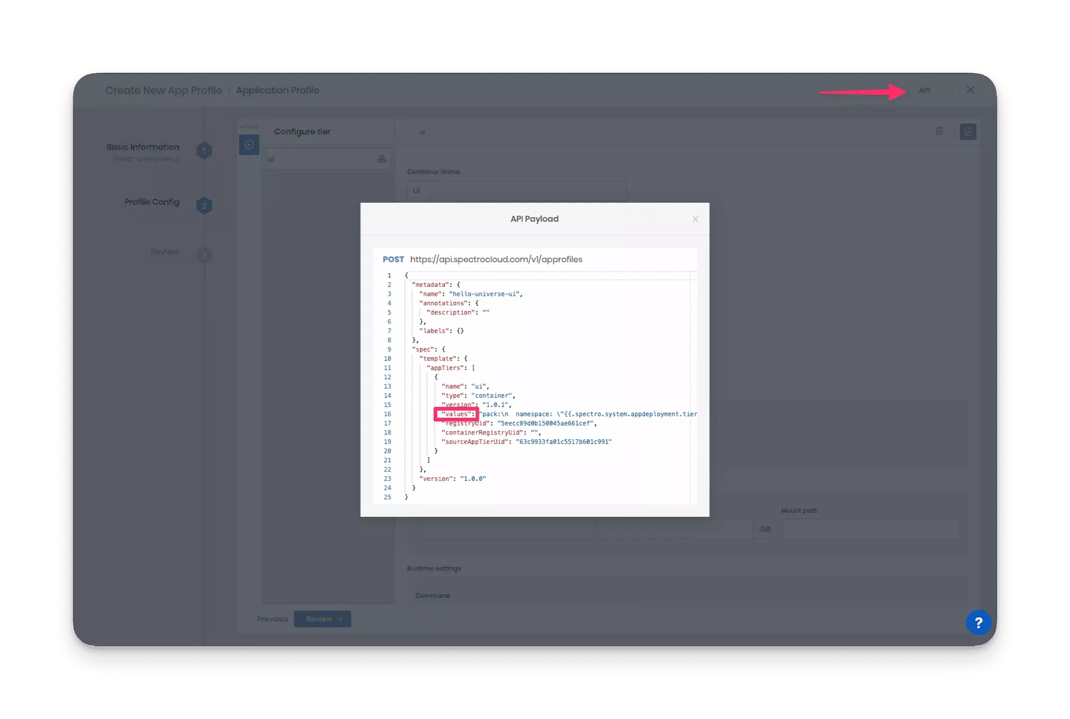 UI ability to display the API object