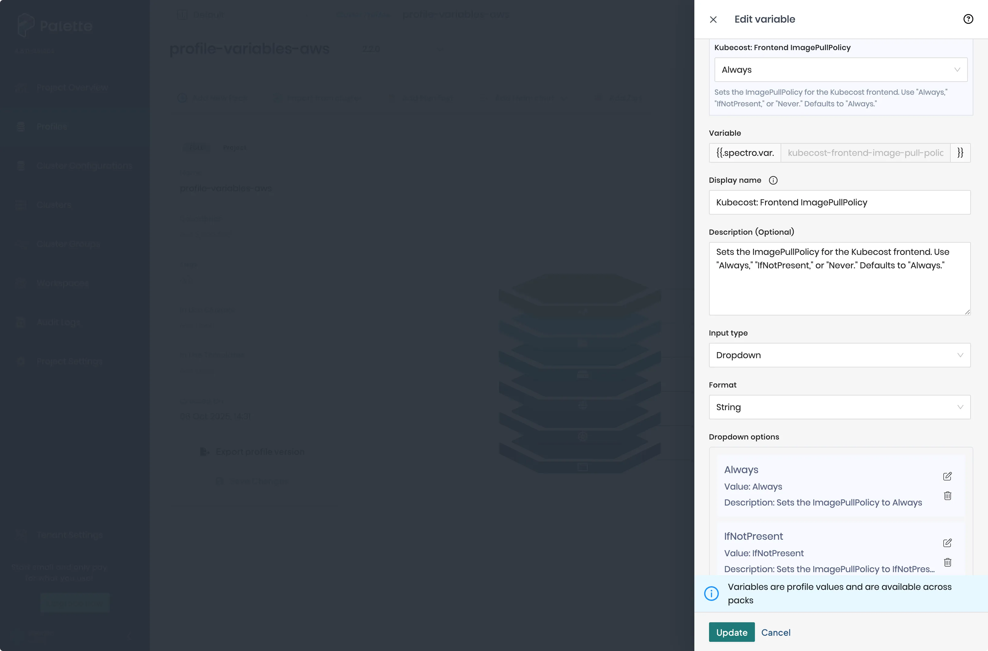 Palette YAML editor with the added profile variables.